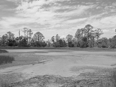 Pinckney Island National Wildlife Refuge 1