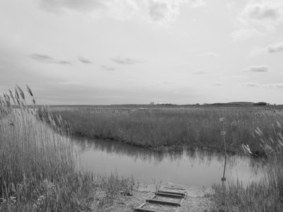 Pointe Mouillee State Game Area 4