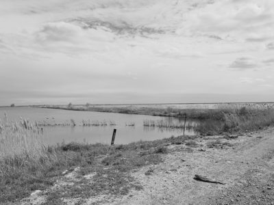 Pointe Mouillee State Game Area 6