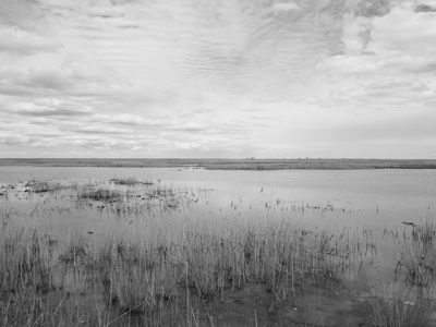 Pointe Mouillee State Game Area 7