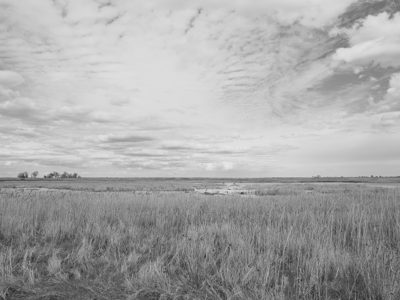 Pointe Mouillee State Game Area 9