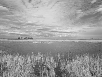 Pointe Mouillee State Game Area 10