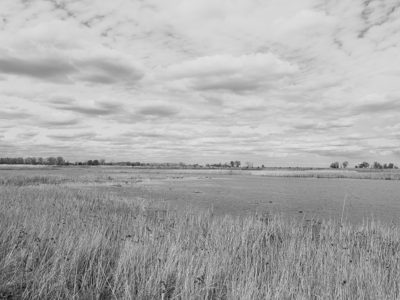 Pointe Mouillee State Game Area 11