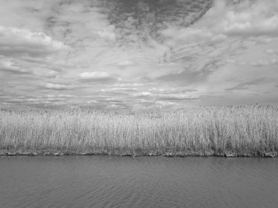 Pointe Mouillee State Game Area 12
