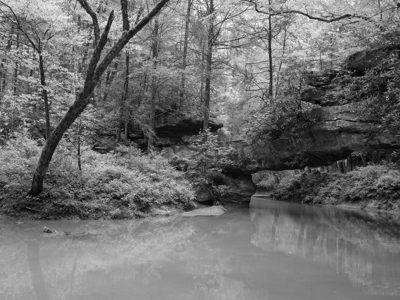 Red River Gorge Geological Area 1