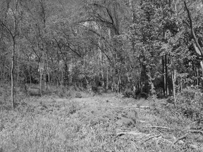 Seip Earthworks 3