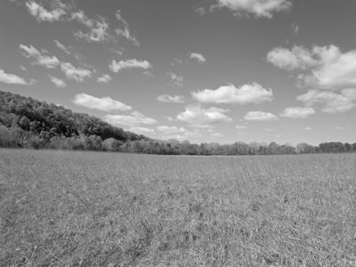 Seip Earthworks 5